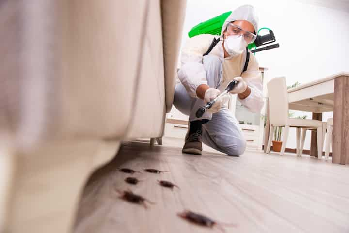 Pest-Control Woodbridge, Virginia